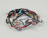 119857 Groen Harness, Control