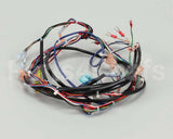 119857 Groen Harness, Control