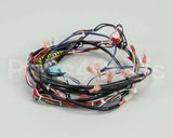 119857 Groen Harness, Control