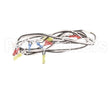 119877 Groen Harness, 120Vac