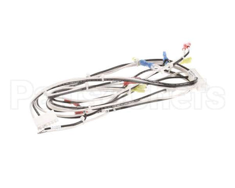 119877 Groen Harness, 120Vac