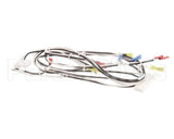 119877 Groen Harness, 120Vac
