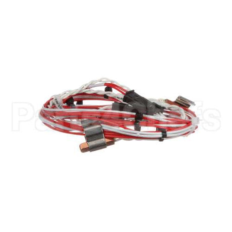 12-2059-0001 Fbd Wire Harness,Temp Sensor,Rtd
