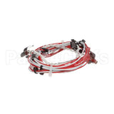12-2059-0001 Fbd Wire Harness,Temp Sensor,Rtd