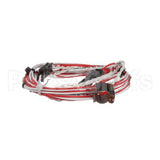 12-2059-0001 Fbd Wire Harness,Temp Sensor,Rtd