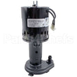12-2260-21 Compatible Scotsman Pump/Motor Kit - 120V