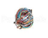 12-2509-0001 Fbd Assembly, Temp Sensor Wire Harness