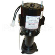 12-2586-07 Compatible Scotsman Pump/Motor Assembly - 115V