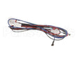 12-2976-01 Scotsman Harness-Low Voltage