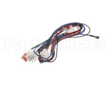 12-2976-01 Scotsman Harness-Low Voltage