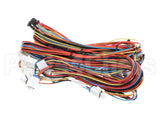 12-3116-0082 Fbd Harness, Analog, 774, V1