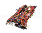 12-3116-0082 Fbd Harness, Analog, 774, V1