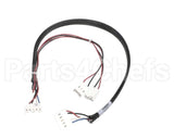 120033 Duke Harness Main Can Vdc Pw