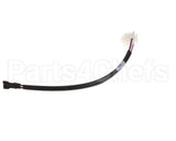 120096 Newco Harness Main Lower