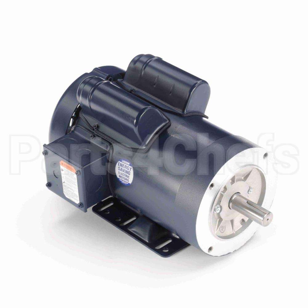 120274 Leeson Motor