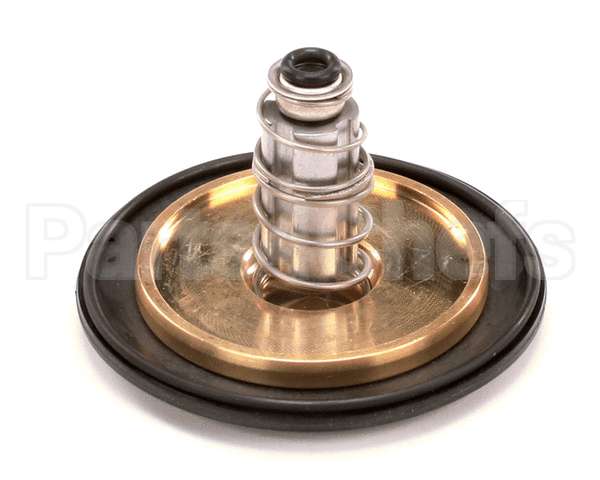 12041 Gaylord 1 Valve Repair Kit