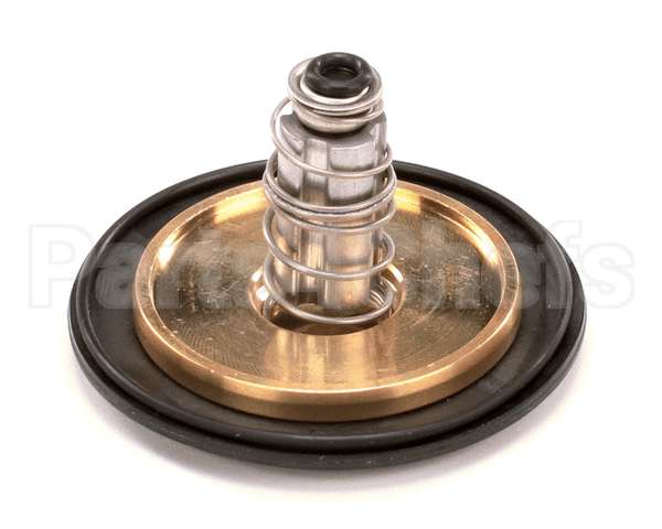 12041 Gaylord 1 Valve Repair Kit