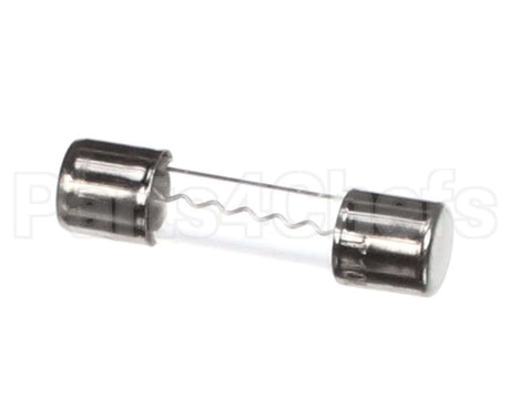 120500 Duke 10 Amp Fuse