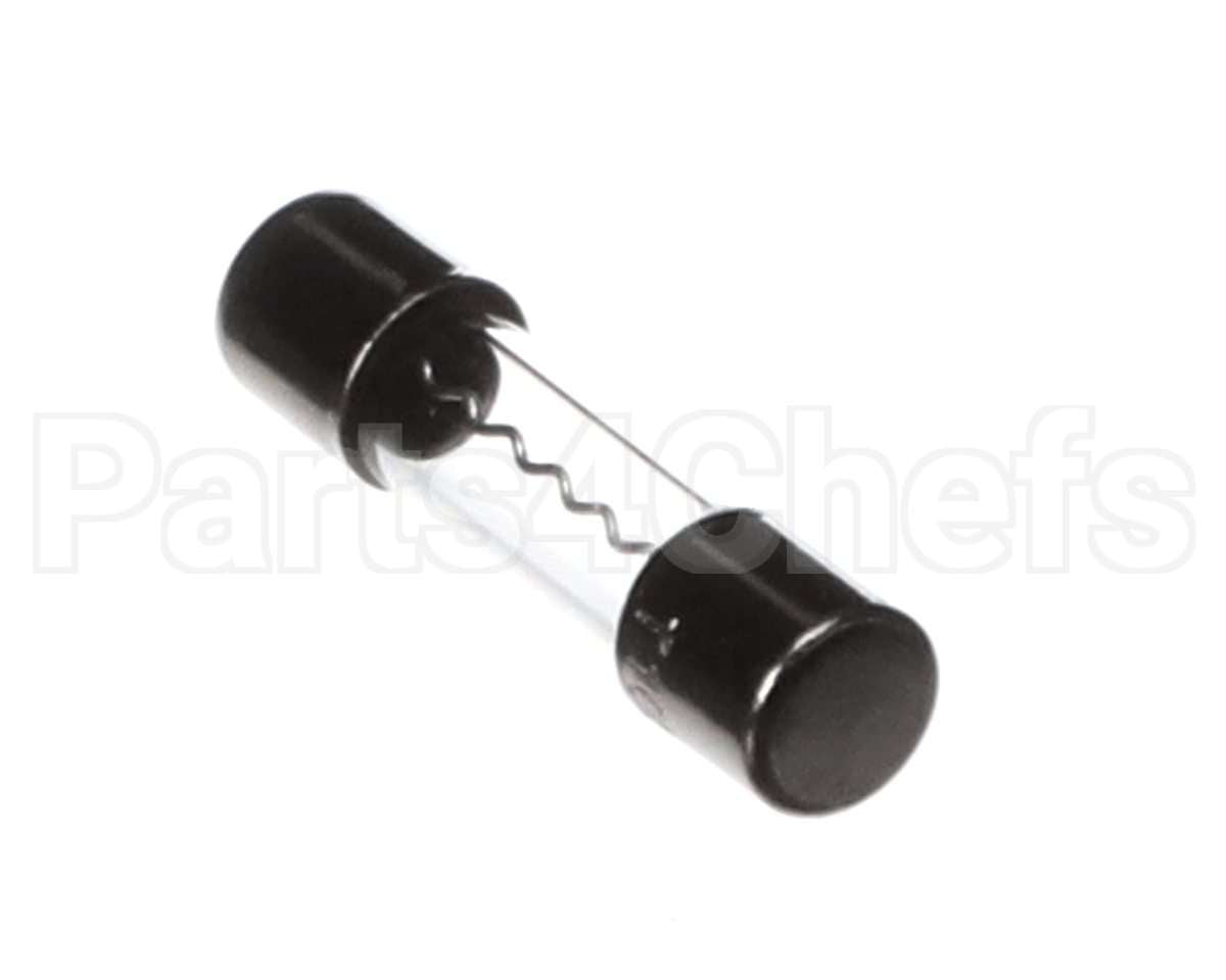 120500 Duke 10 Amp Fuse