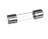 120500 Duke 10 Amp Fuse