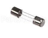 120500 Duke 10 Amp Fuse