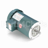 121065 Leeson Motor