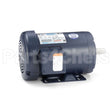 121095 Leeson Motor
