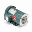 121672 Leeson Motor