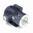 121681 Leeson Motor