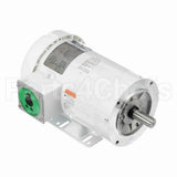 122185 Leeson Motor