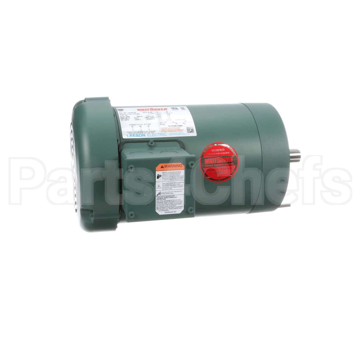 122228 Leeson Motor