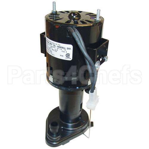 12258621 Compatible Scotsman Pump/Motor Assembly - 115V
