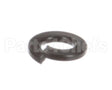 1226 Globe Lockwasher