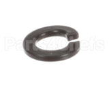1226 Globe Lockwasher