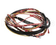 123779 Groen Harness, Wiring-Kettle Control