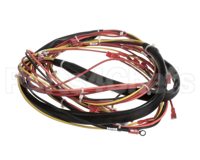 123779 Groen Harness, Wiring-Kettle Control