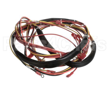 123779 Groen Harness, Wiring-Kettle Control