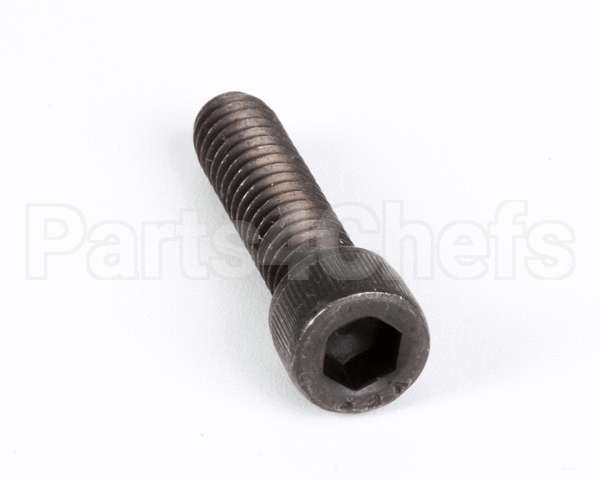 1238 Globe Screw
