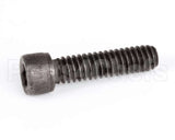 1238 Globe Screw