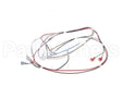 12576.0008 Bunn Wiring Harness, H5 Dgtl Dspl 208V/240V