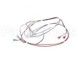 12576.0008 Bunn Wiring Harness, H5 Dgtl Dspl 208V/240V