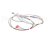 12576.0008 Bunn Wiring Harness, H5 Dgtl Dspl 208V/240V