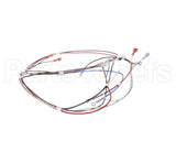 12576.0008 Bunn Wiring Harness, H5 Dgtl Dspl 208V/240V