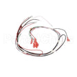 12576.0013 Bunn Wiring Harn, 240V Eca On/Off Sw
