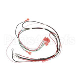 12576.0013 Bunn Wiring Harn, 240V Eca On/Off Sw