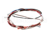 12576.0017 Bunn Wiring Harness, Main H5X Element (Food)