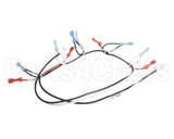125853 Groen Harness, Power 24 Vac