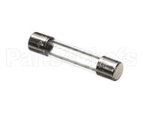 127157 Newco Fuse 5 Amp - 250 V