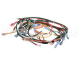 127748 Groen Harness, Wiring, Main, Hfp/2E