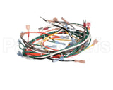 127748 Groen Harness, Wiring, Main, Hfp/2E